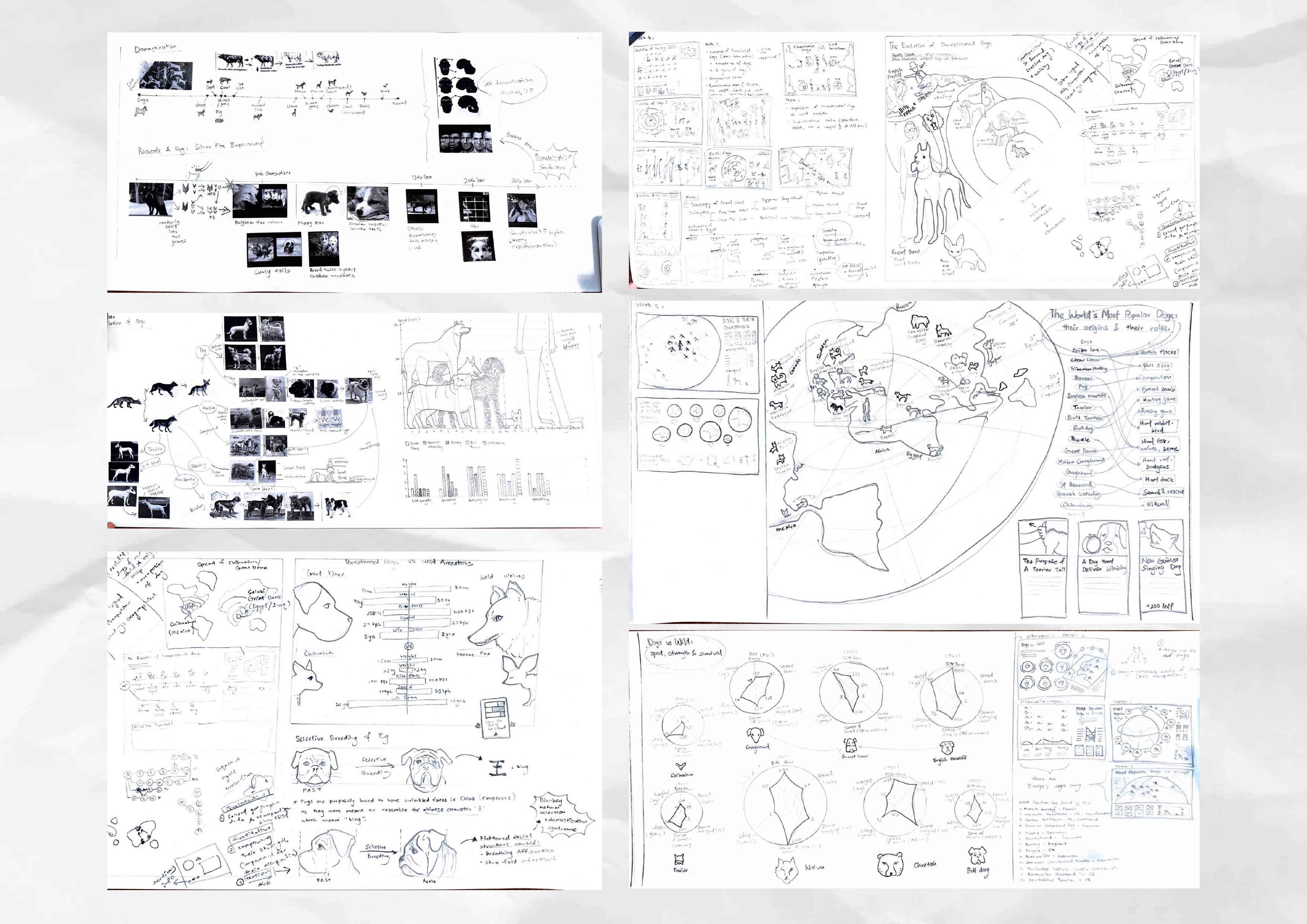 Exhibited Infographic Posters