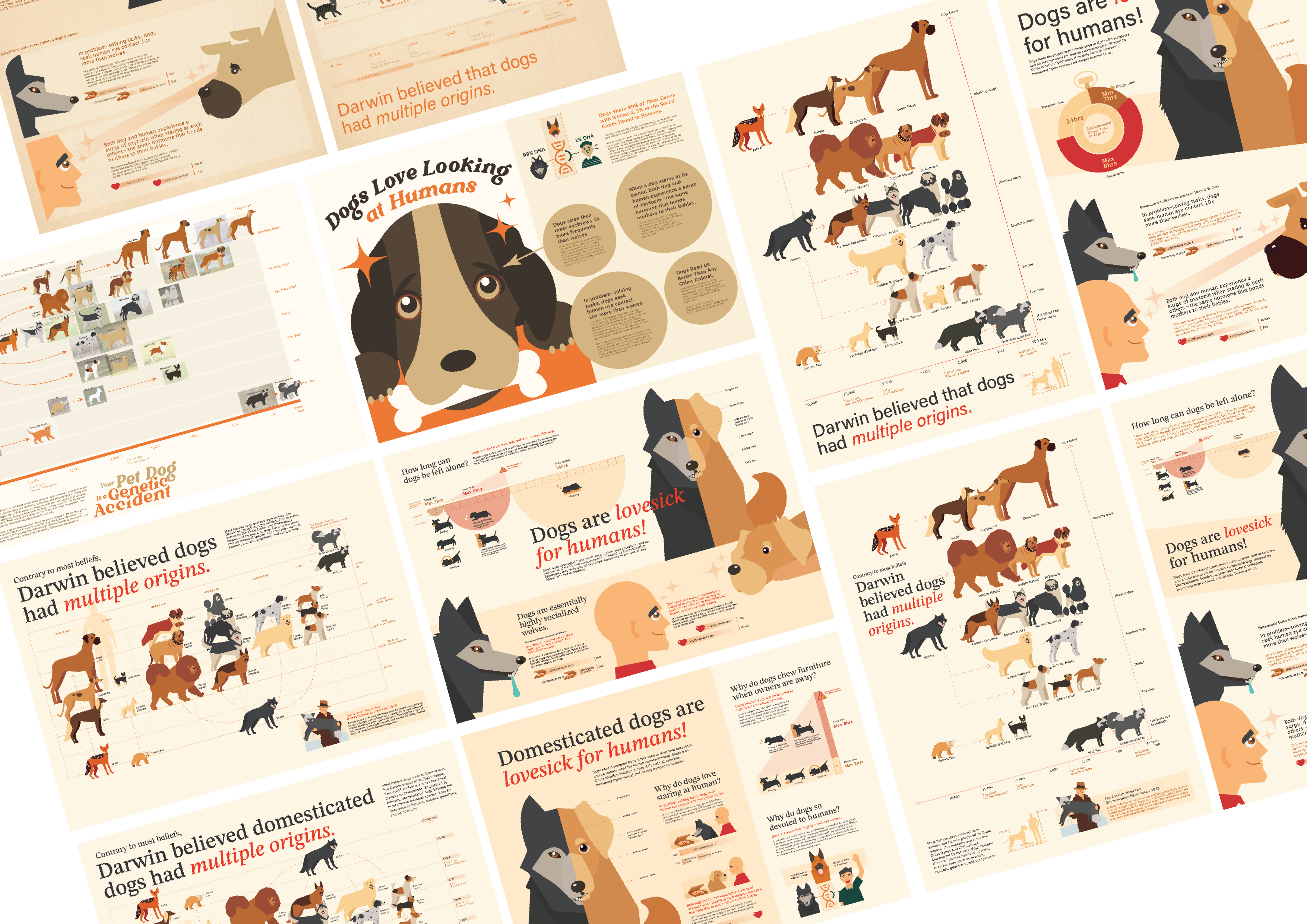 Exhibited Infographic Posters