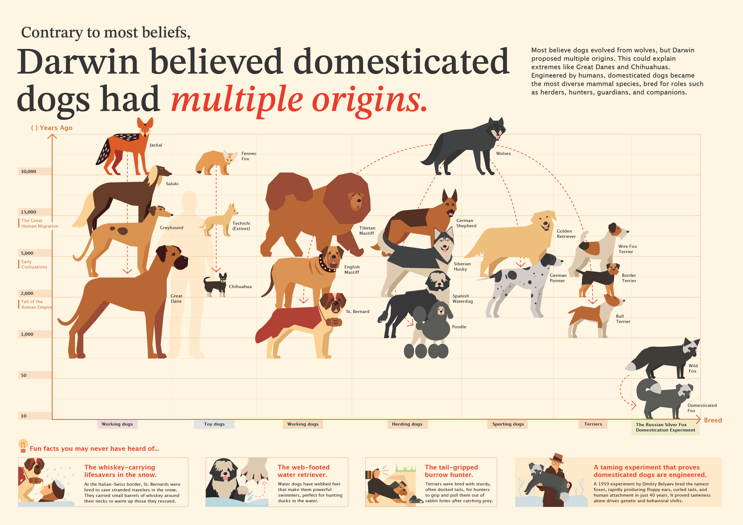 Exhibited Infographic Posters