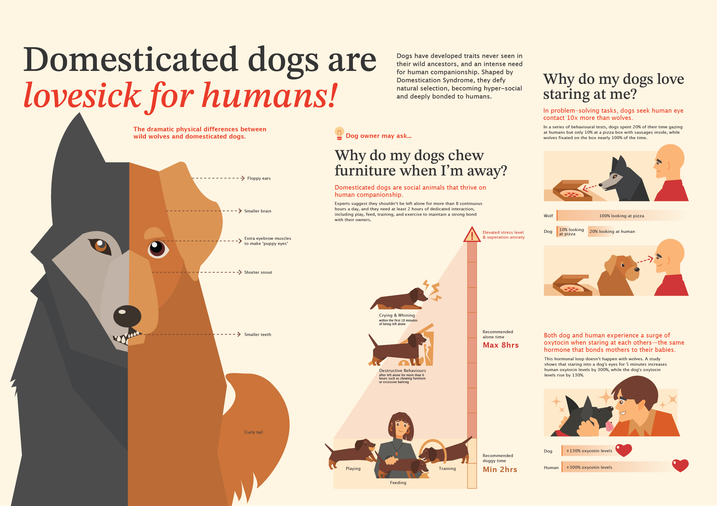 Exhibited Infographic Posters