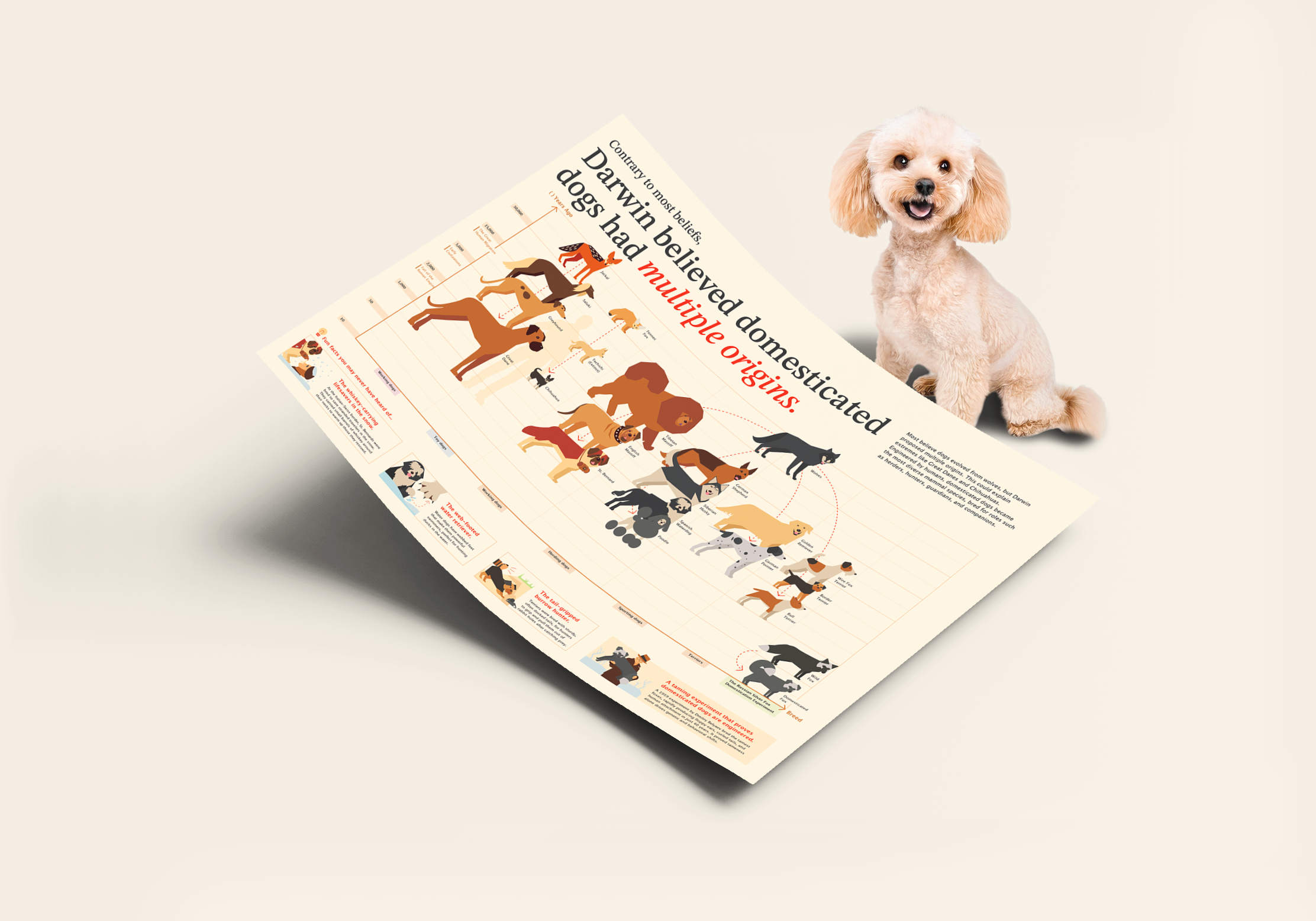 Exhibited Infographic Posters 2